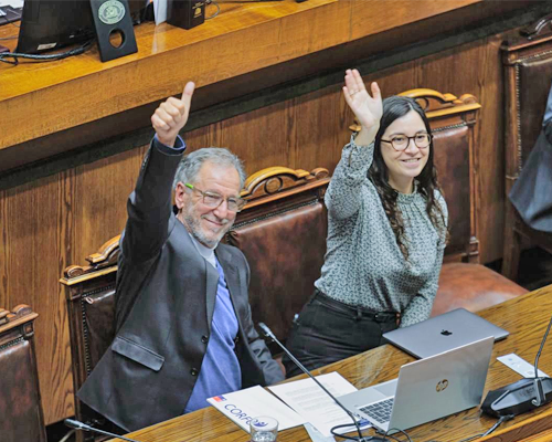 Sala del Senado aprobó por amplia mayoría el proyecto de ley de Fortalecimiento de Ferias Libres