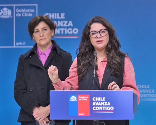 ¿Qué dice el proyecto de ley sobre aborto con plazos?